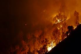 Uttarakhand Forest Fire - बड़ा सवालः आखिर कौन लगा रहा उत्तराखंड के जंगलों में  आग? - Amar Ujala Hindi News Live